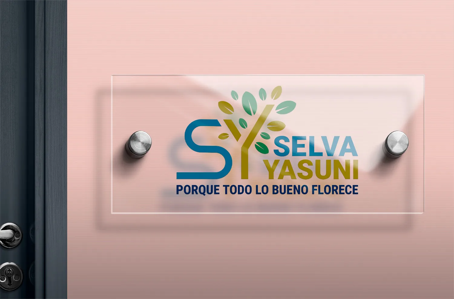 Caja de Ahorro Selva Yasuni